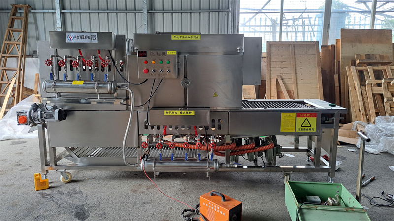豬腳牛蹄自動(dòng)燎燒絨毛機(jī)，多爐頭、大流量的安全管家 